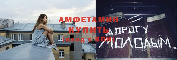 прущие грибы Беломорск
