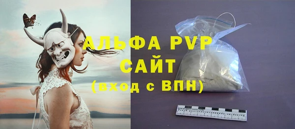 прущие грибы Беломорск