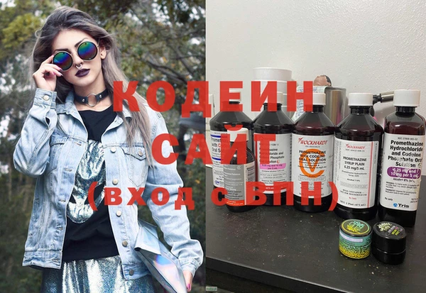 прущие грибы Беломорск