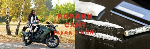 прущие грибы Беломорск